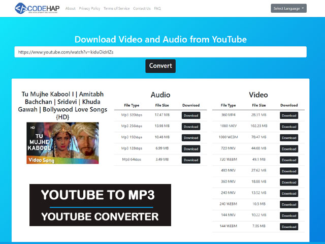 thumb YouTube Converter - YouTube To Mp3 Core PHP Ajax Based Script